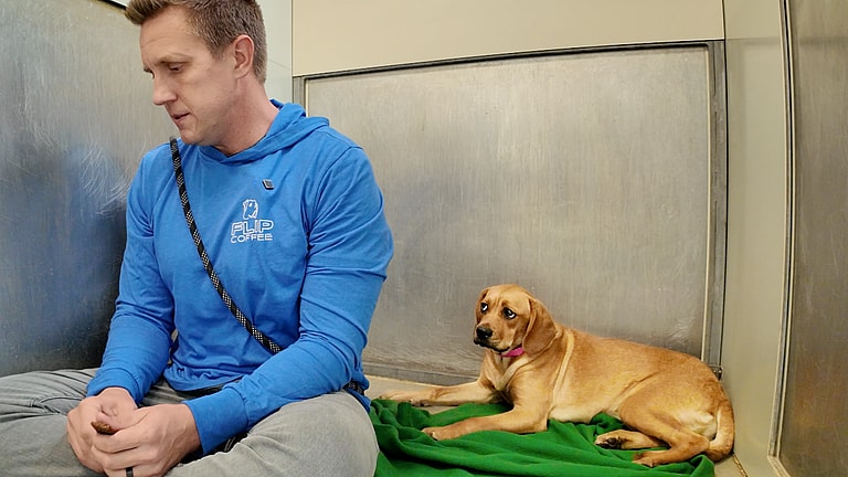 Ellie: Sitting With Dogs 70