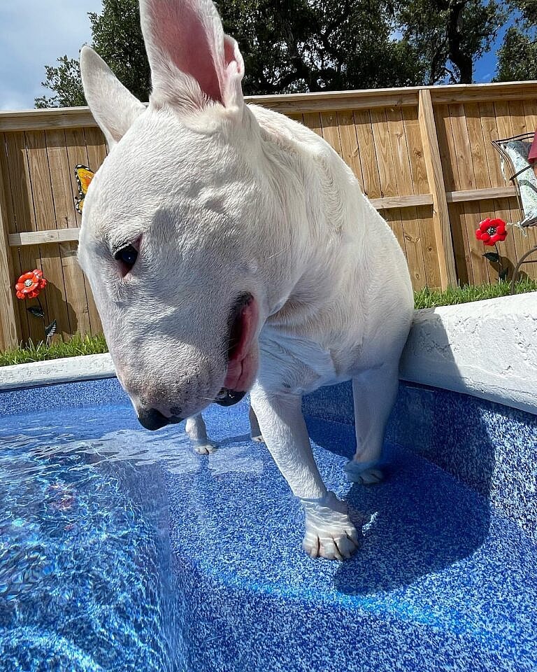 I can only fit on the first step, but it’s nice.