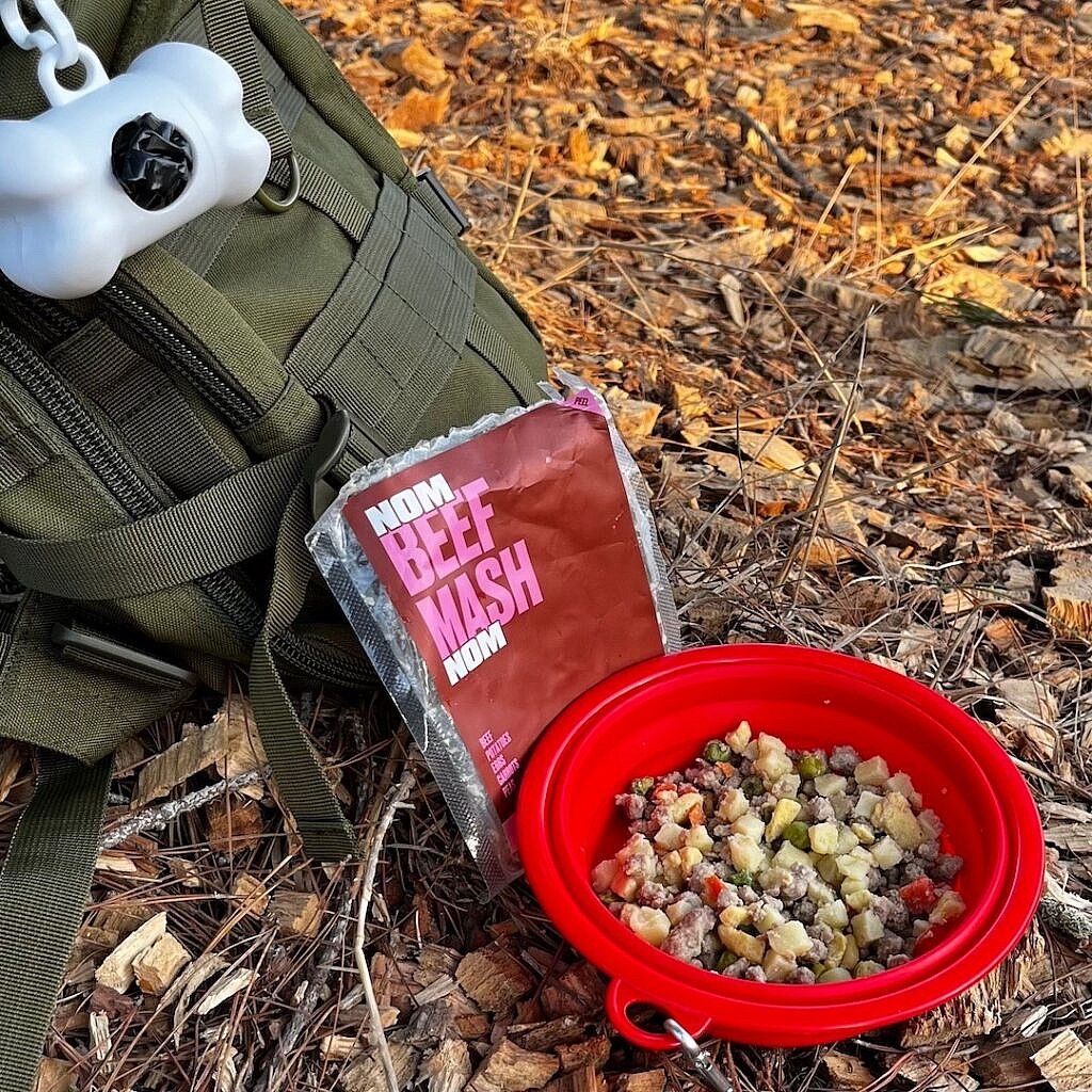 Best Dog Food for Chihuahuas - NomNom Beef Mash