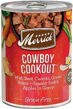 Best Dog Food for Beagles