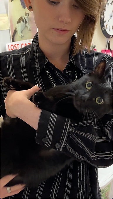 Black cat gets adopted