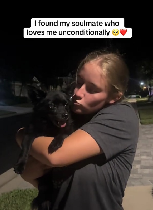 Abandoned 14-Year-Old Chihuahua