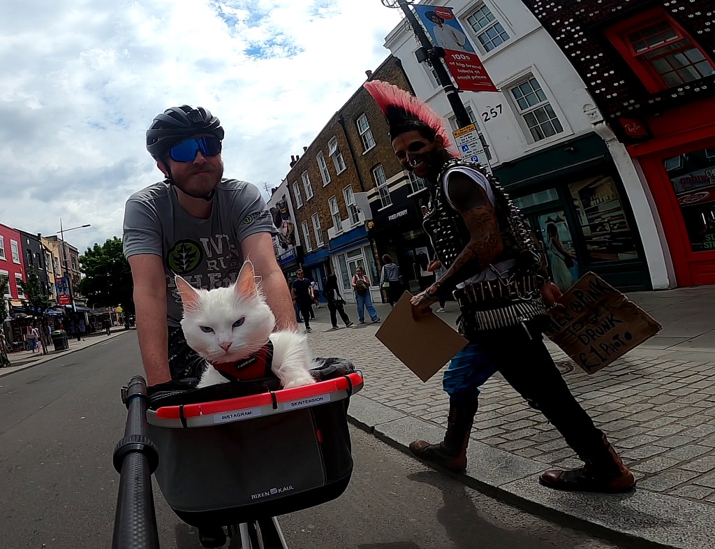 deaf cat loves to go bike riding