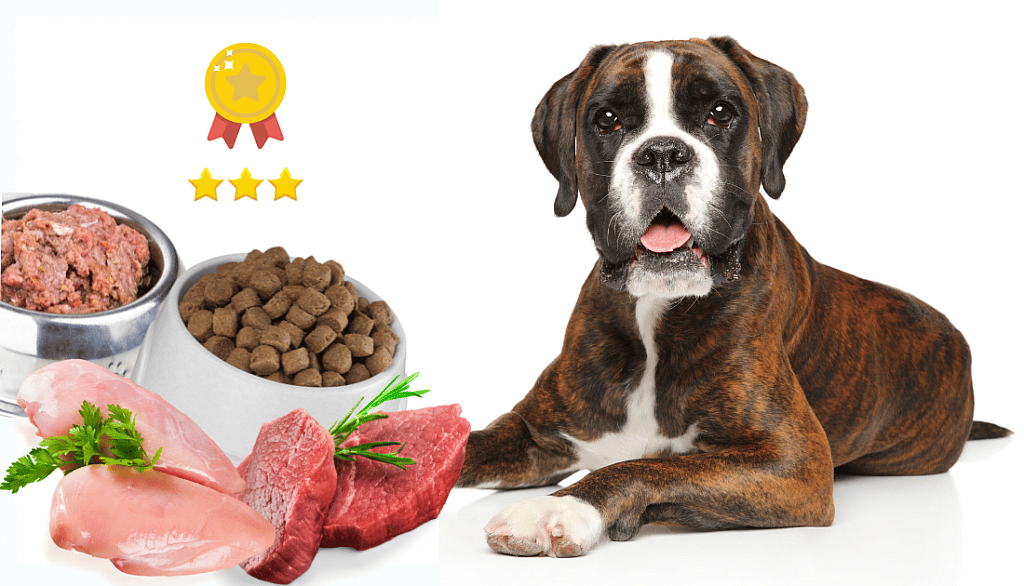 All-Time Best Dog Food Brands for Boxers