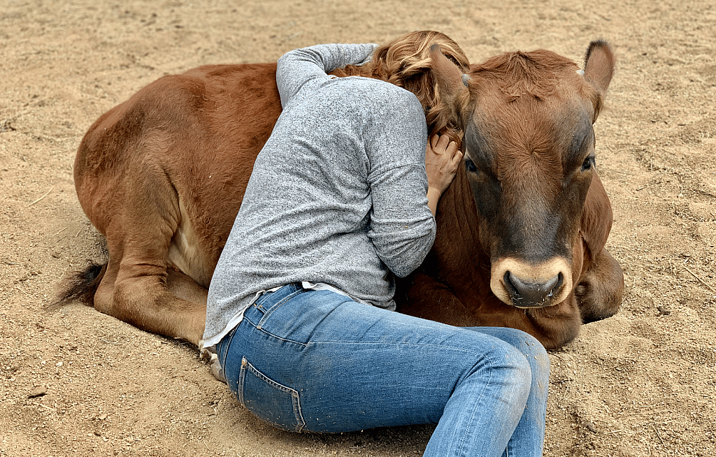 Chico's new mom hugging him
