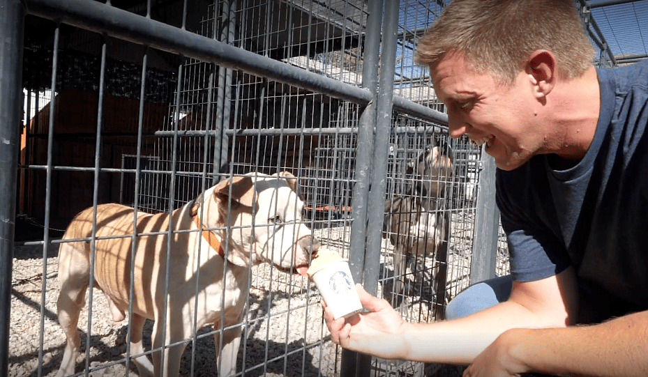 Making 100 Pumpkin Puppuccinos for Homeless Dogs