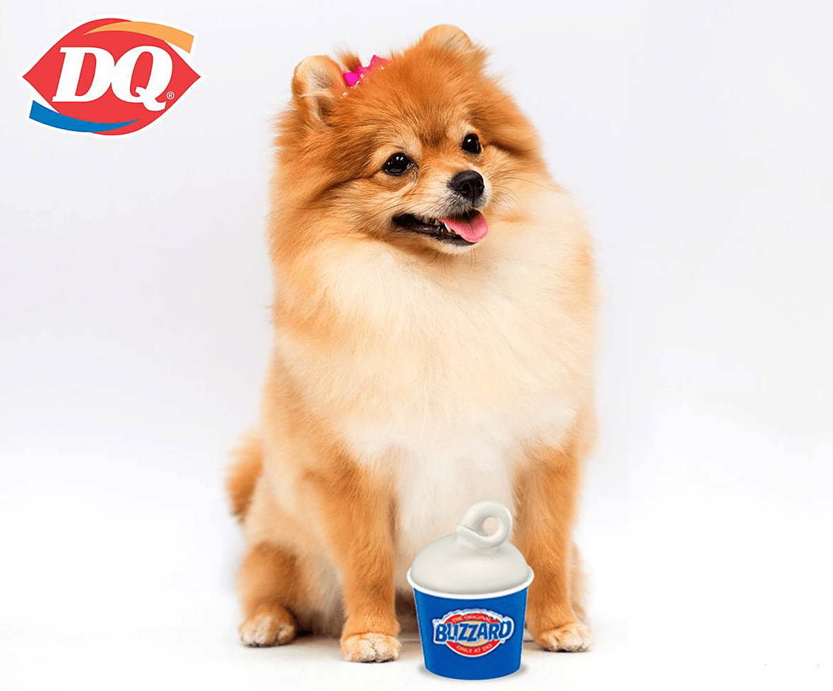 Dairy Queen pup cup