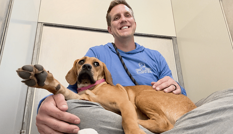 Ellie: Sitting With Dogs 70