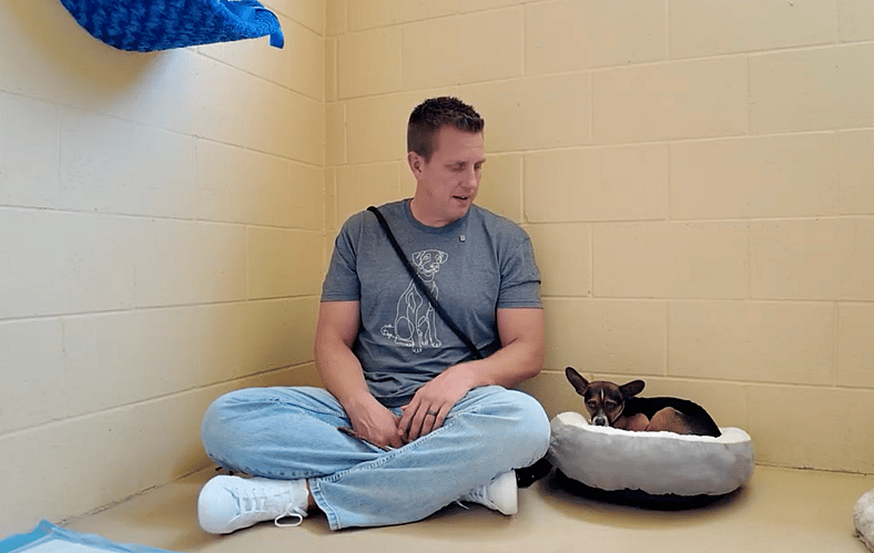 Sitting with dogs 94