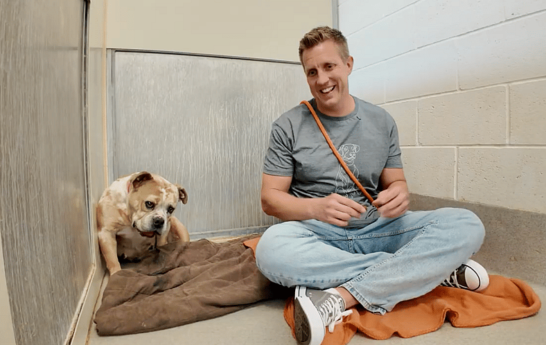 Sitting With Dogs 96 Fiona