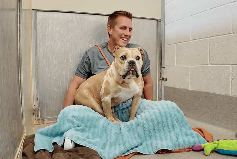 Sitting With Dogs 96 Fiona