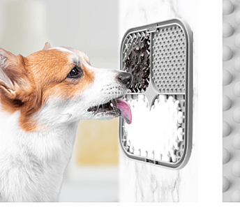 Dealing With a Hyper Puppy? This Corgi Owner Has the Perfect Solution